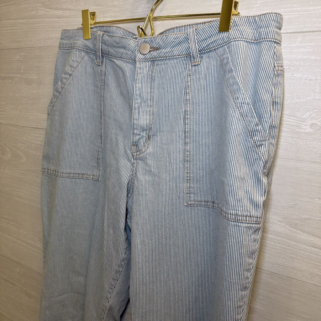 Copper Flash White/ Blue Striped Pants 14