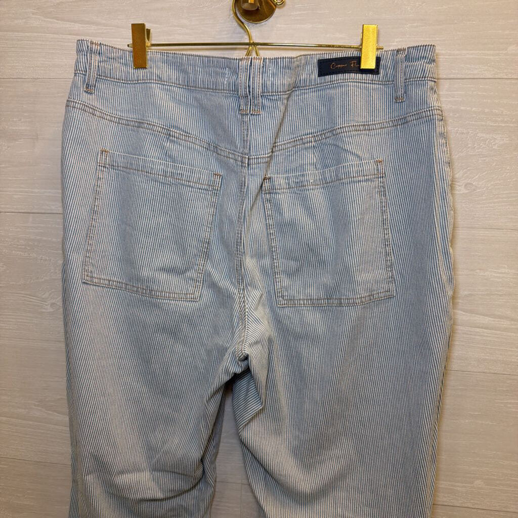 Copper Flash White/ Blue Striped Pants 14