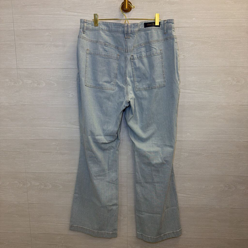 Copper Flash White/ Blue Striped Pants 14