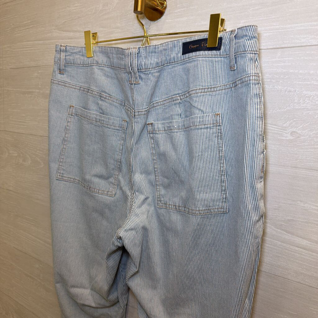 Copper Flash White/ Blue Striped Pants 14