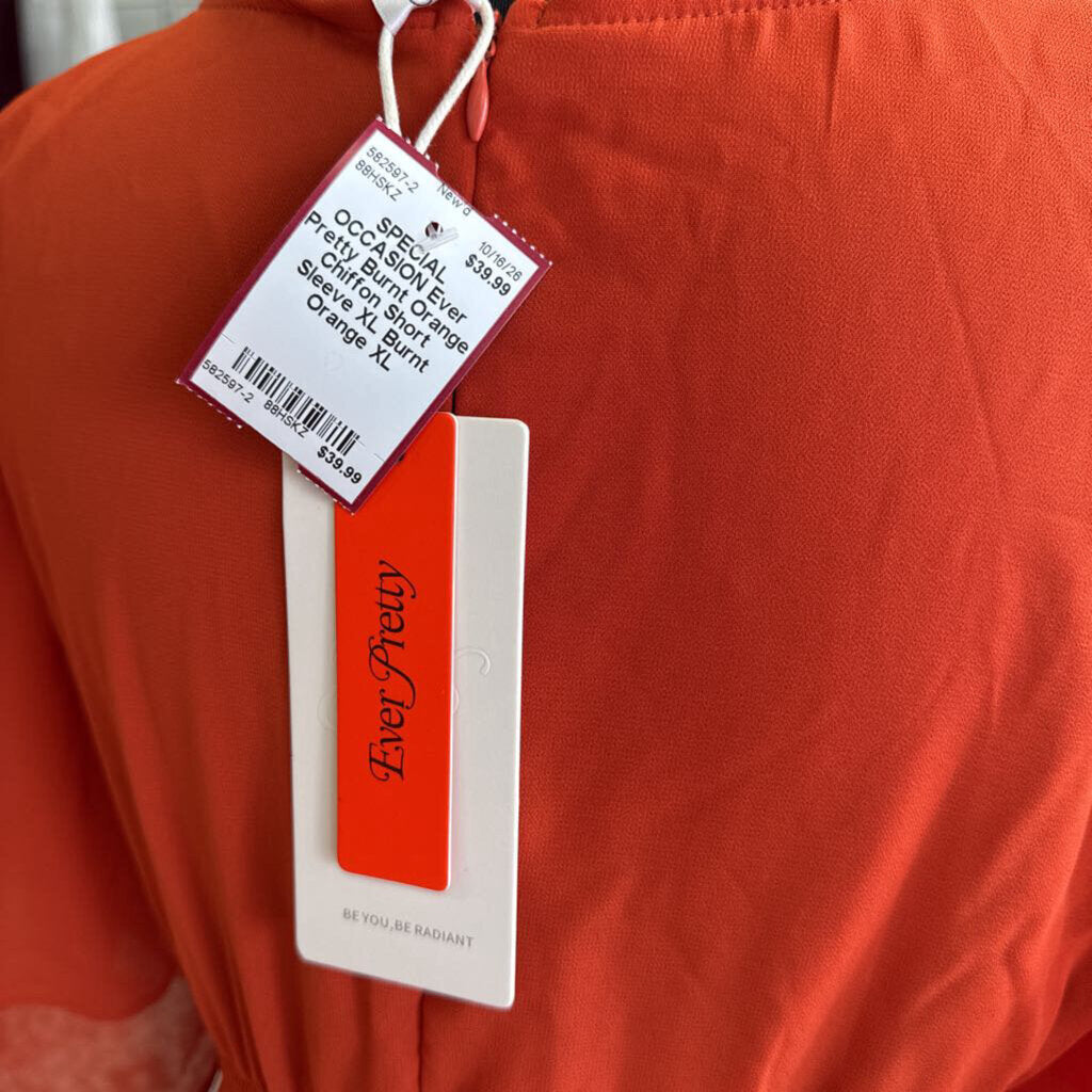 Burnt Orange Chiffon Short Sleeve XL