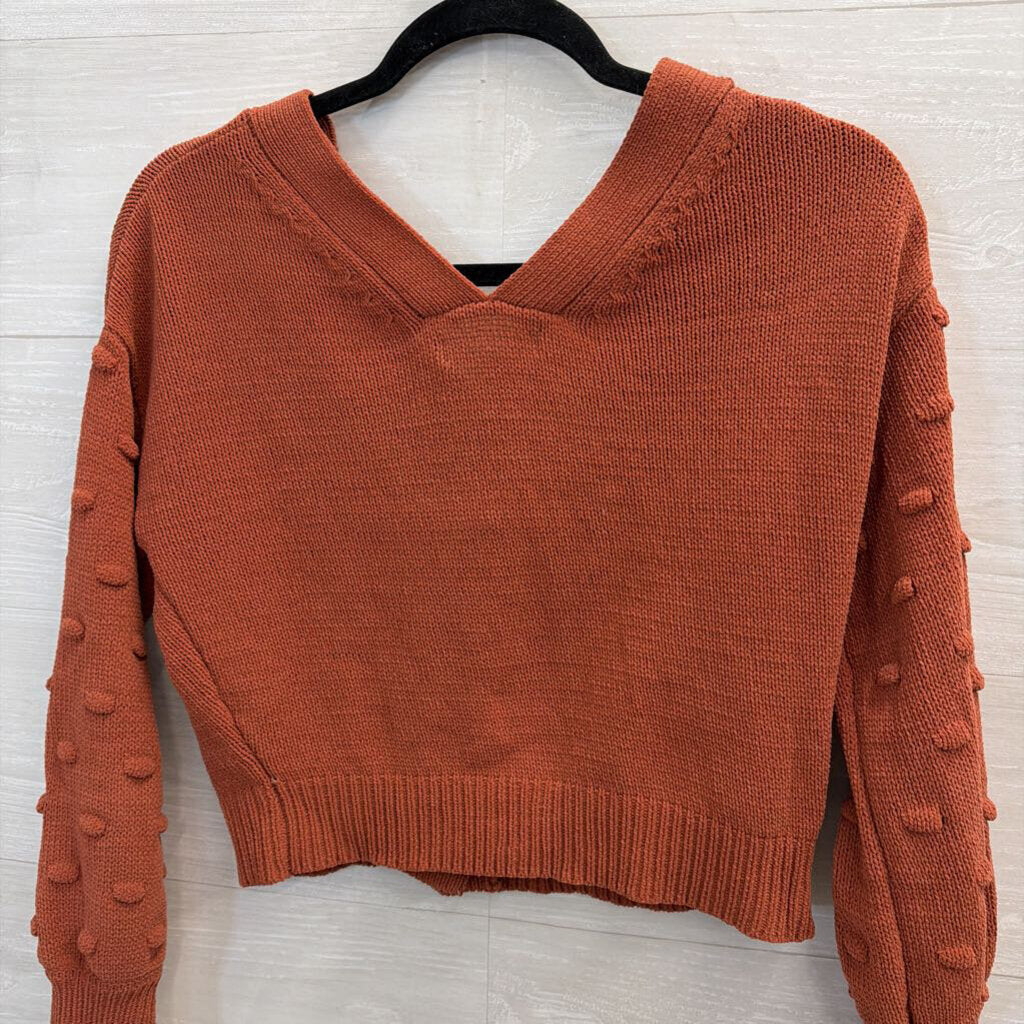 Cropped Burnt Orange Sweater Small