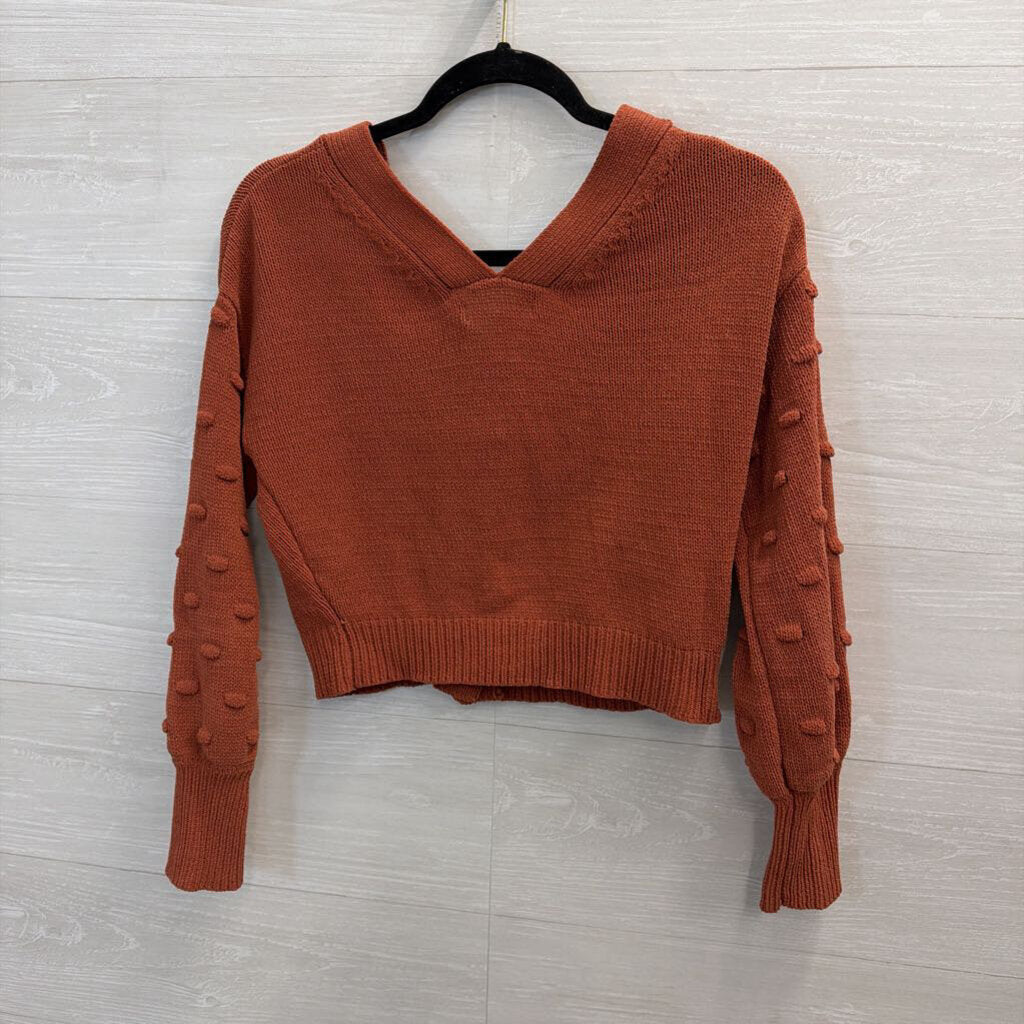 Cropped Burnt Orange Sweater Small