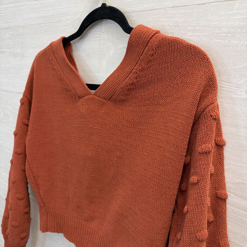 Cropped Burnt Orange Sweater Small