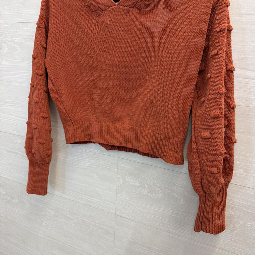 Cropped Burnt Orange Sweater Small