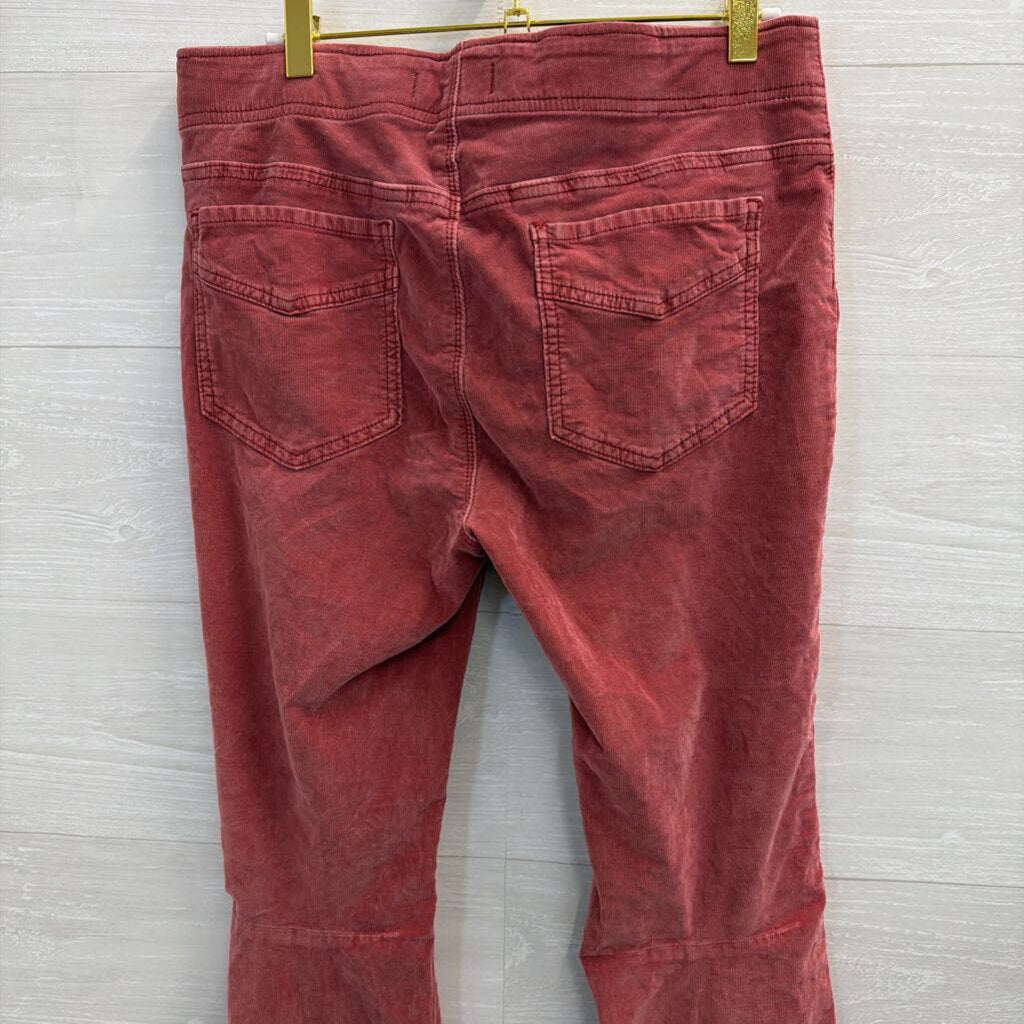 We the Free Pink Corduroy Flare Pants 31