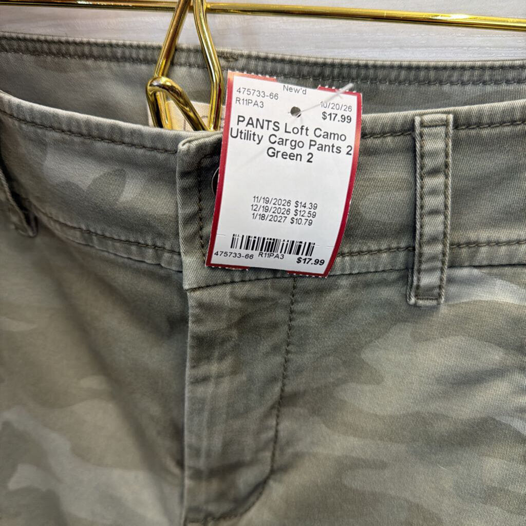 Camo Utility Cargo Pants 2