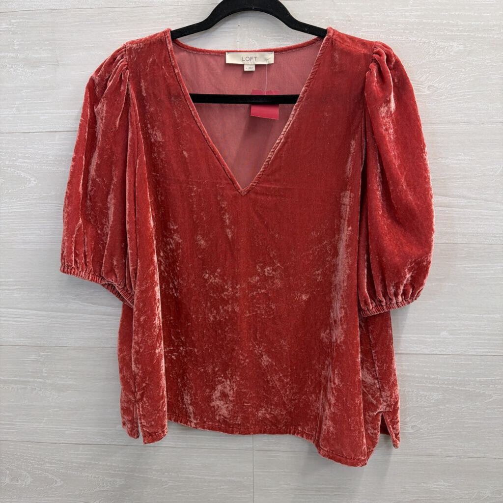 Pink Velvet Puff Sleeve Top Medium