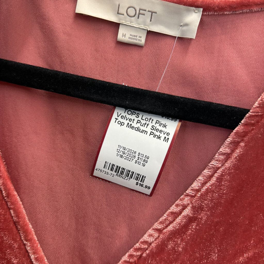 Pink Velvet Puff Sleeve Top Medium