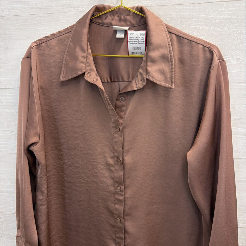Mauve Silky Long Sleeve Button Down Top Large