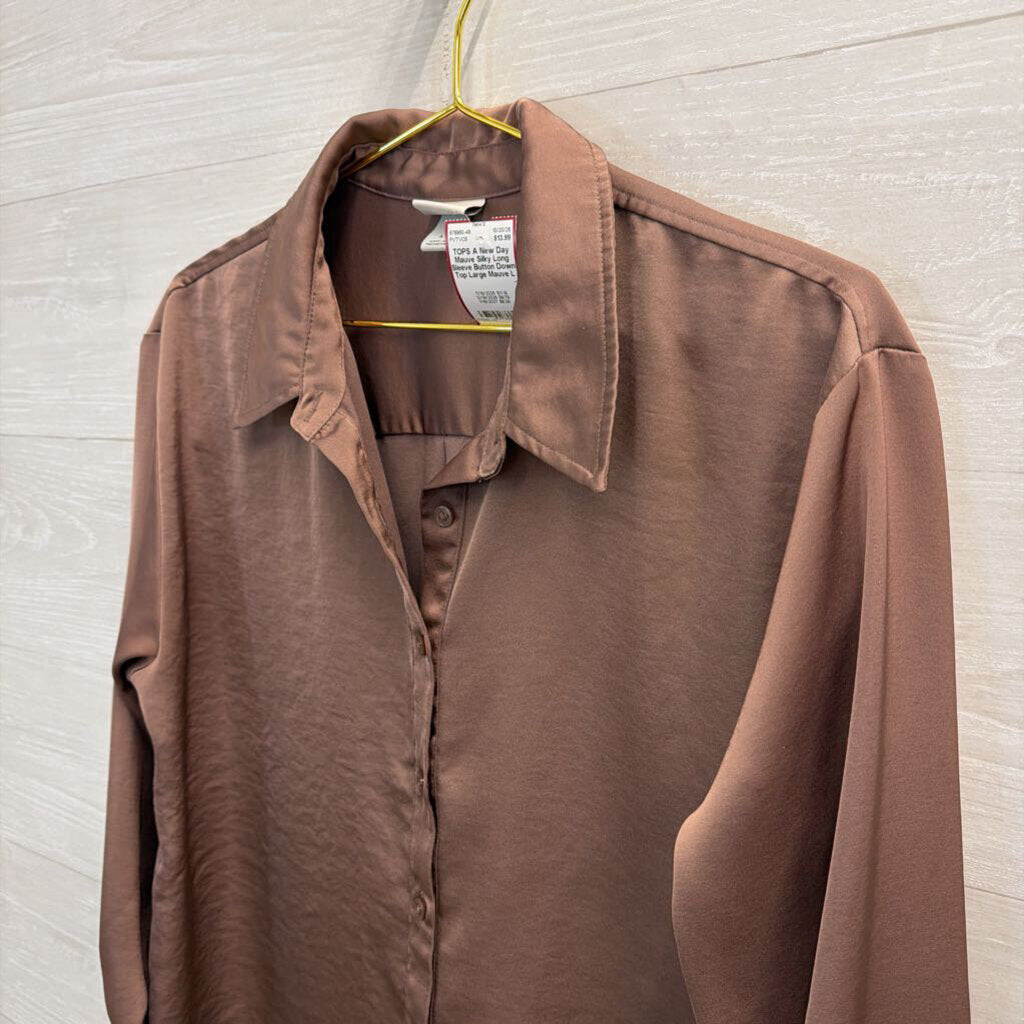 Mauve Silky Long Sleeve Button Down Top Large