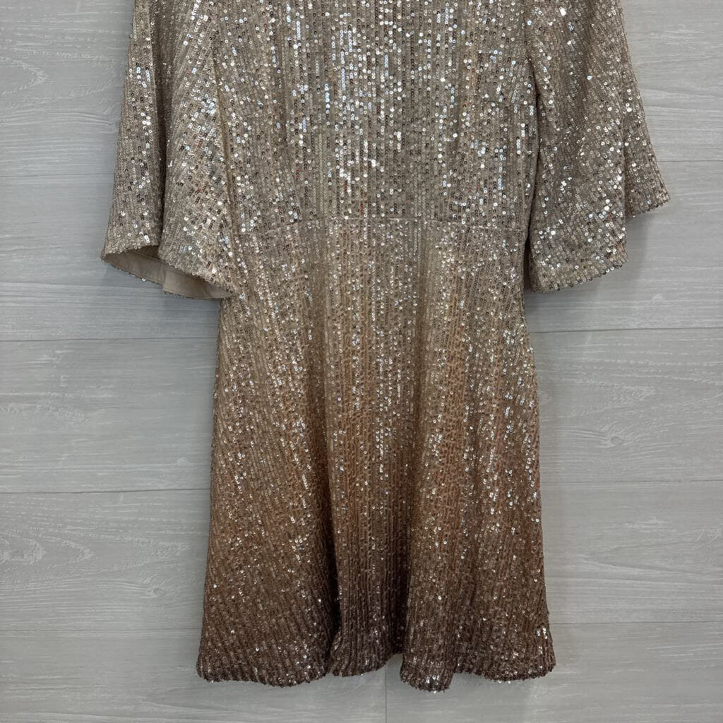 Silver/ Gold Ombre Sequin Short Sleeve Dress Small