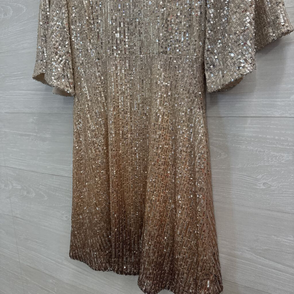 Silver/ Gold Ombre Sequin Short Sleeve Dress Small