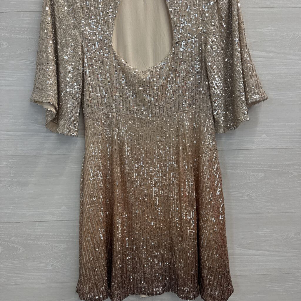 Silver/ Gold Ombre Sequin Short Sleeve Dress Small