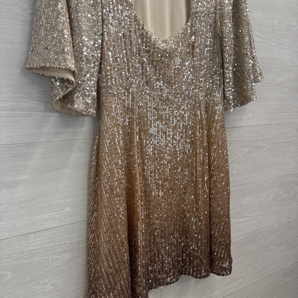Silver/ Gold Ombre Sequin Short Sleeve Dress Small
