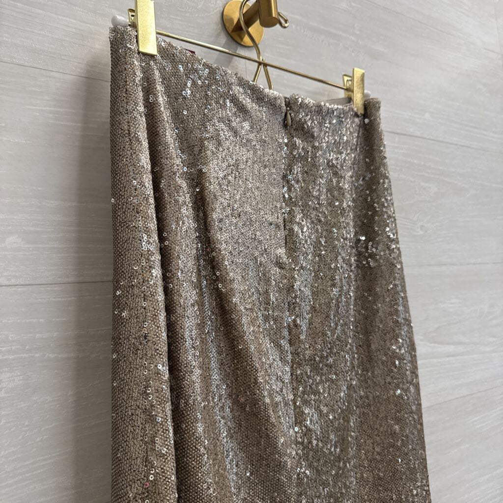 Zara Gold Sequin Skirt Extra Small