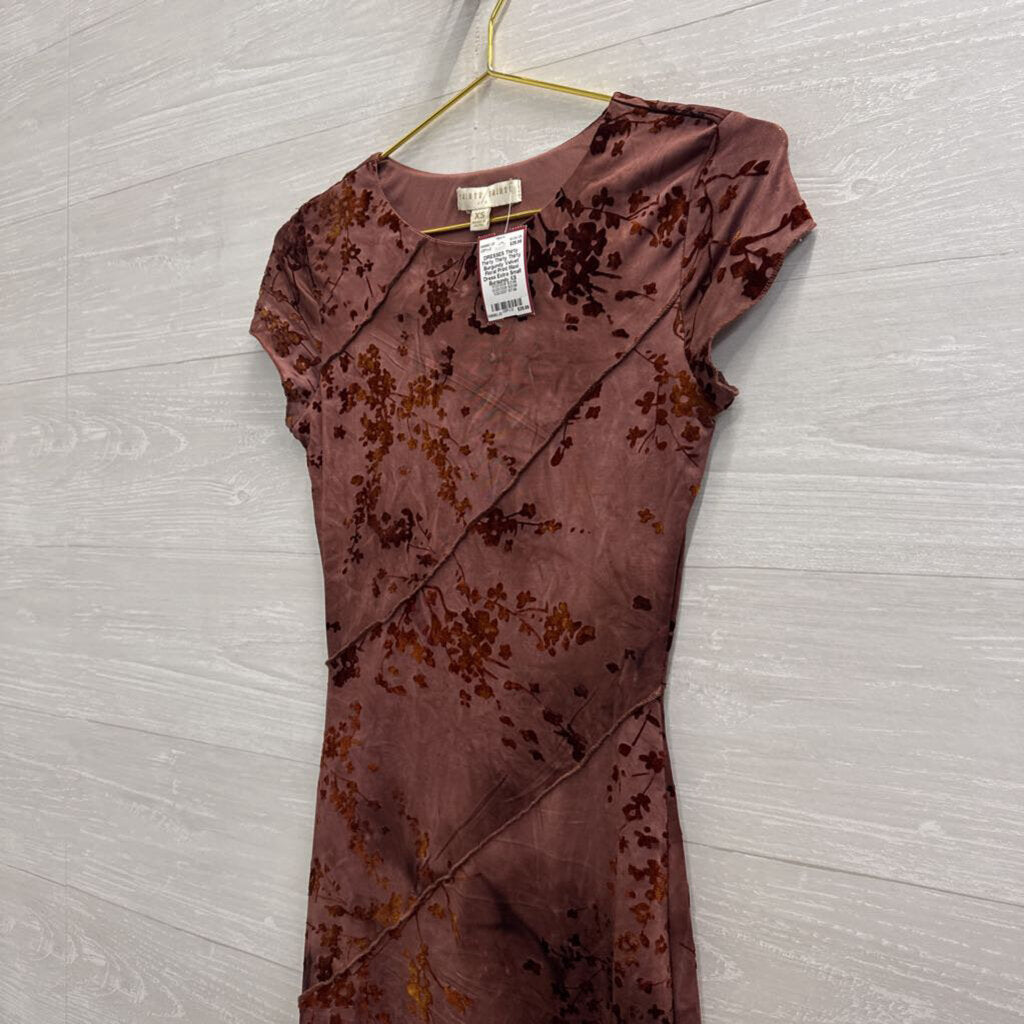 Thirty Thirty Burgundy Velvet Floral Print Maxi Dress Extra Small