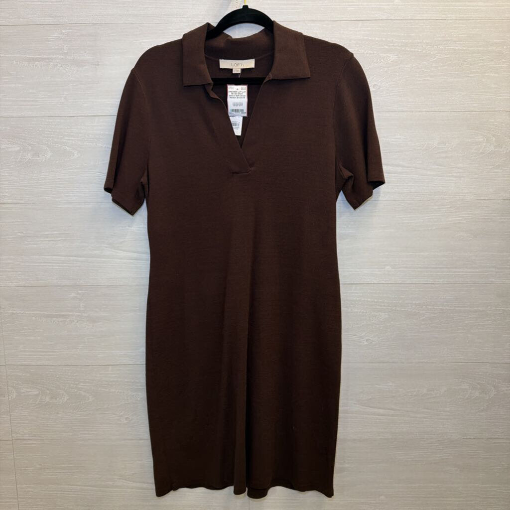 Loft Brown Short Sleeve Shift Dress Medium