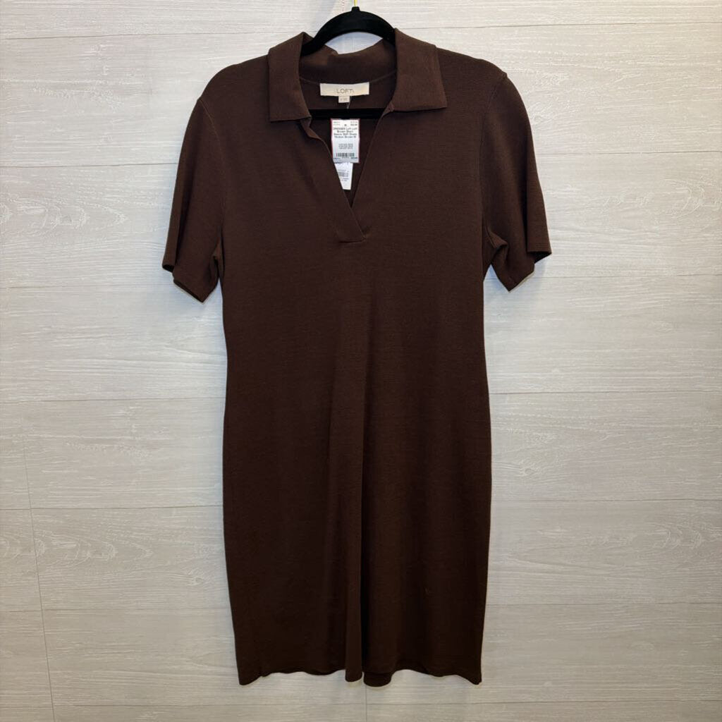 Loft Brown Short Sleeve Shift Dress Medium