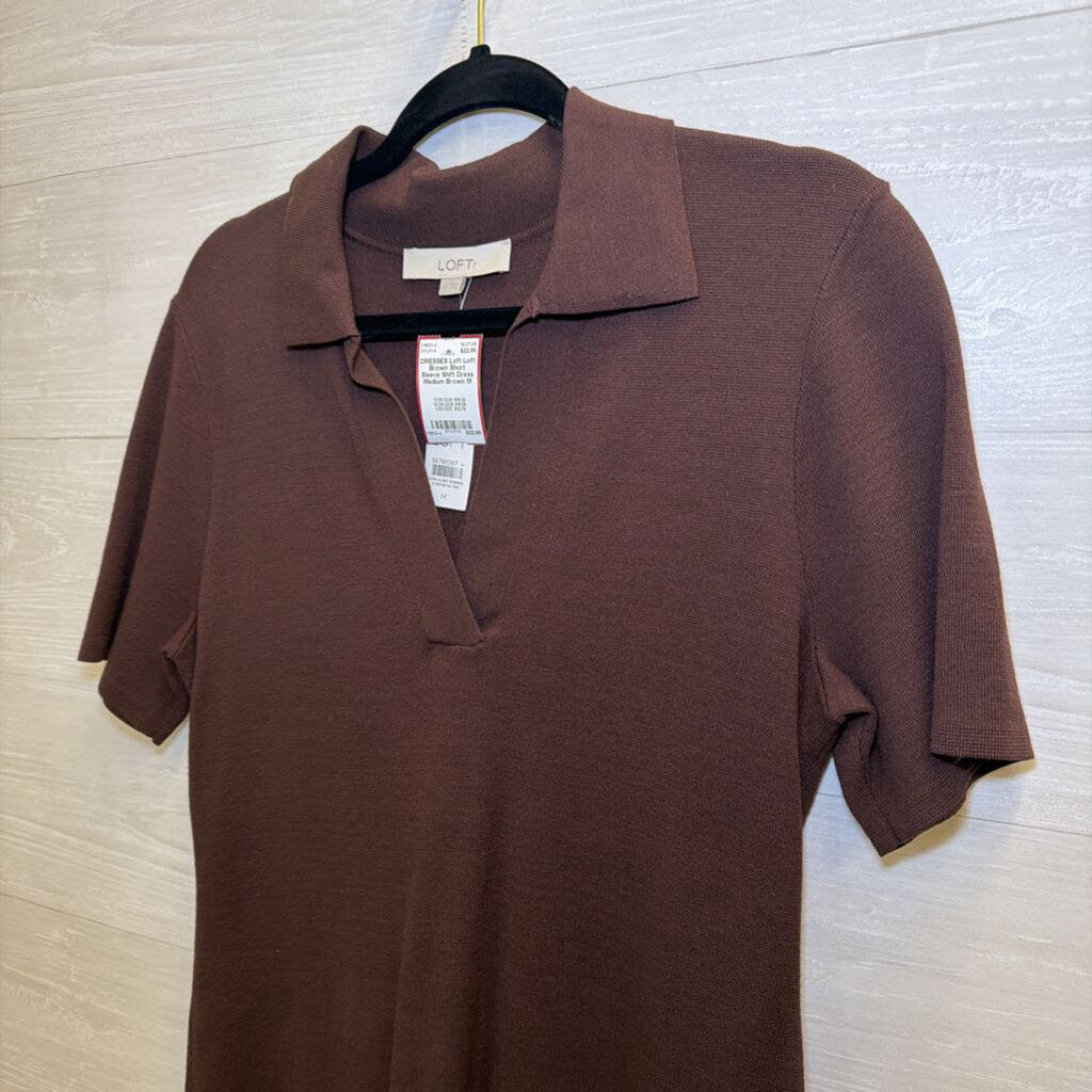 Loft Brown Short Sleeve Shift Dress Medium