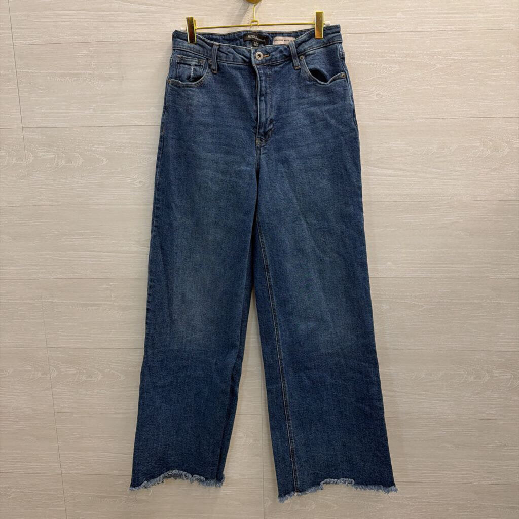 BCBG Dark Wash High Rise Wide Leg 29