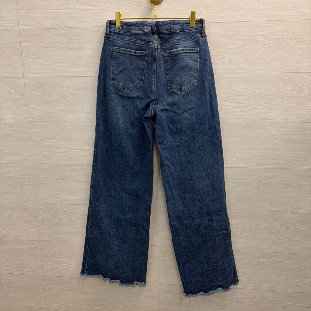 BCBG Dark Wash High Rise Wide Leg 29