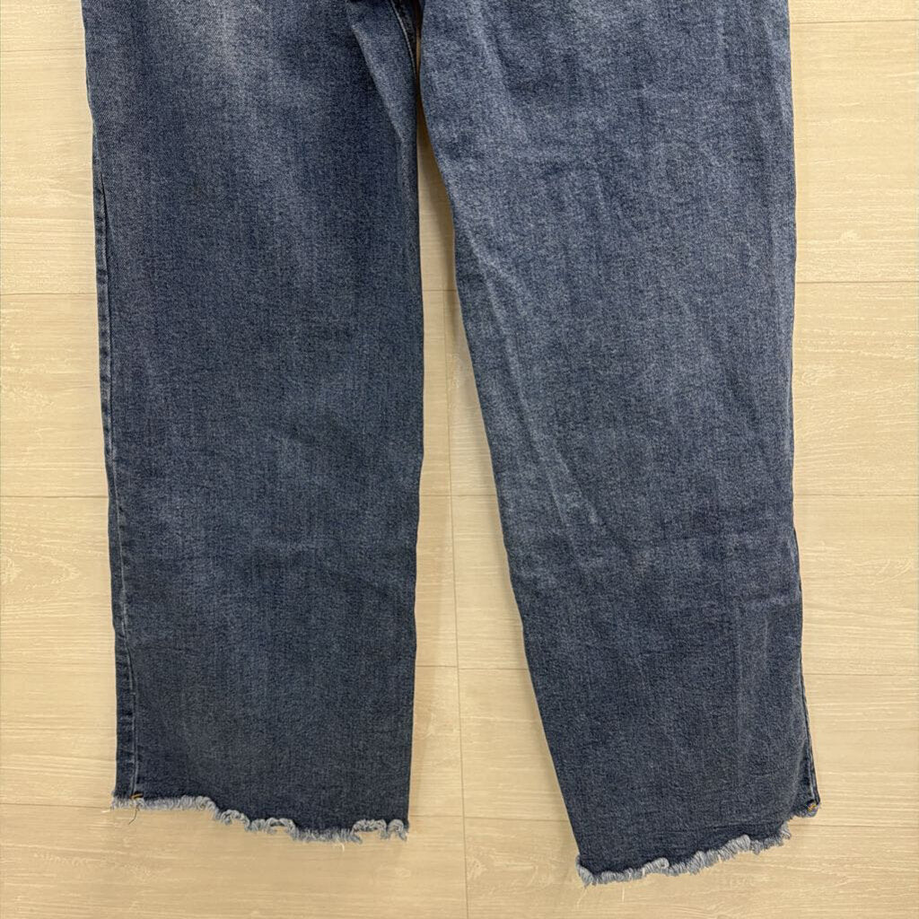 BCBG Dark Wash High Rise Wide Leg 29