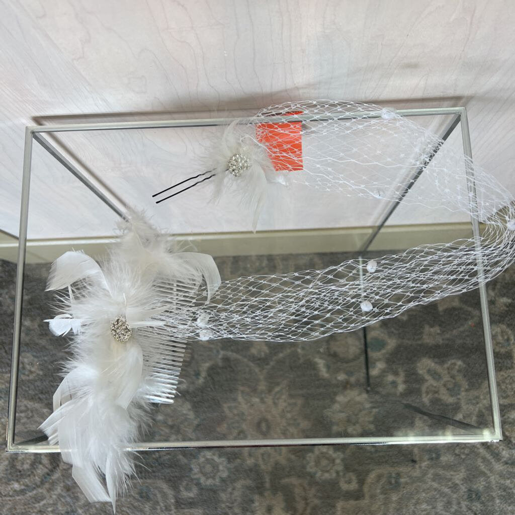 Ivory Feather Birdcage Veil